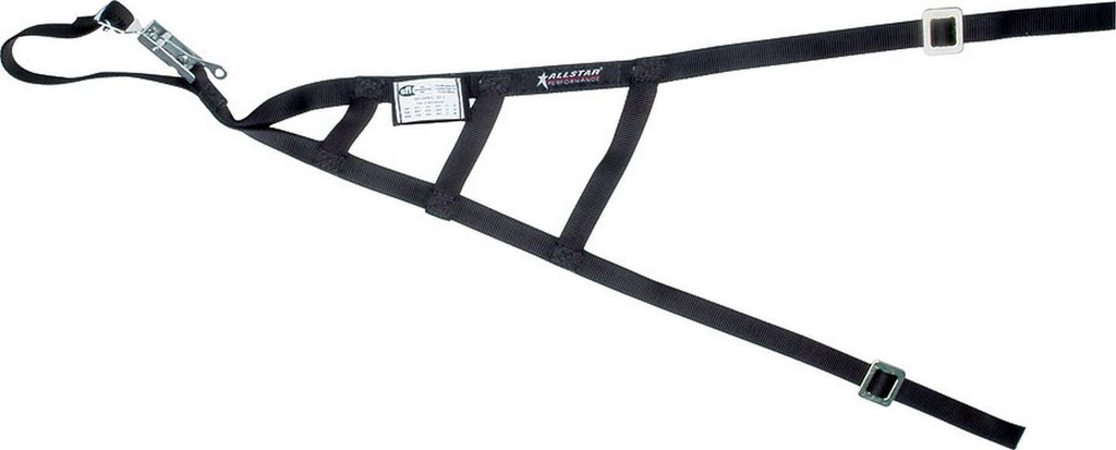Allstar Performance: Triangle Window Net SFI