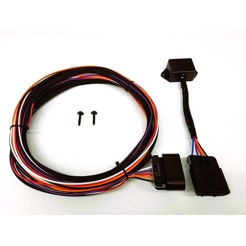 [AFS66702] Aeromotive-Controller Smart 2 Relay External Triggering Srce