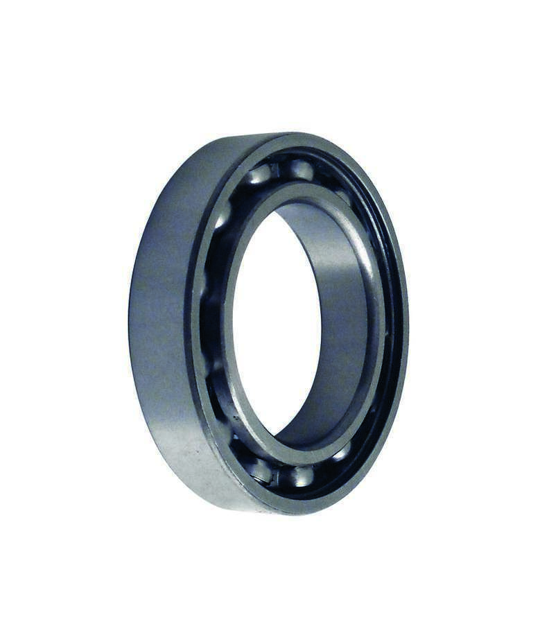 [WIN7391] Winters - Slider Open Ball Brg