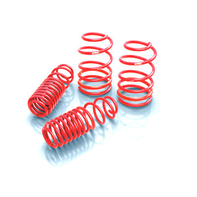 [EIB4.10135] Eibach - Sportline Kit 05-10 Ford Mustang