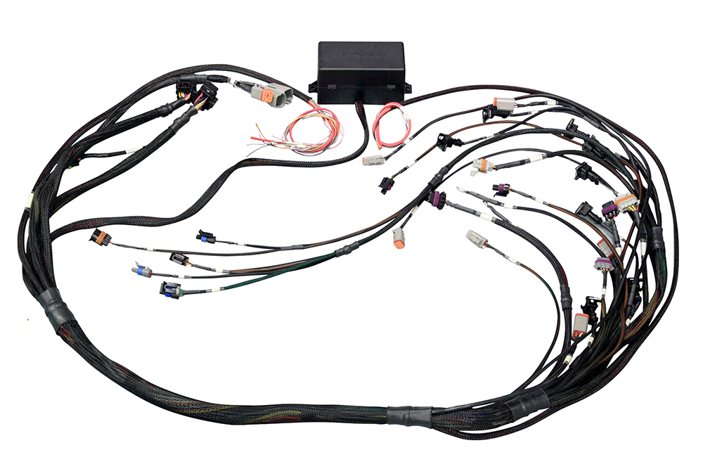[HTHHT-141360] Haltech - Elite 2000/2500 Non DBW Terminated Wire Harness