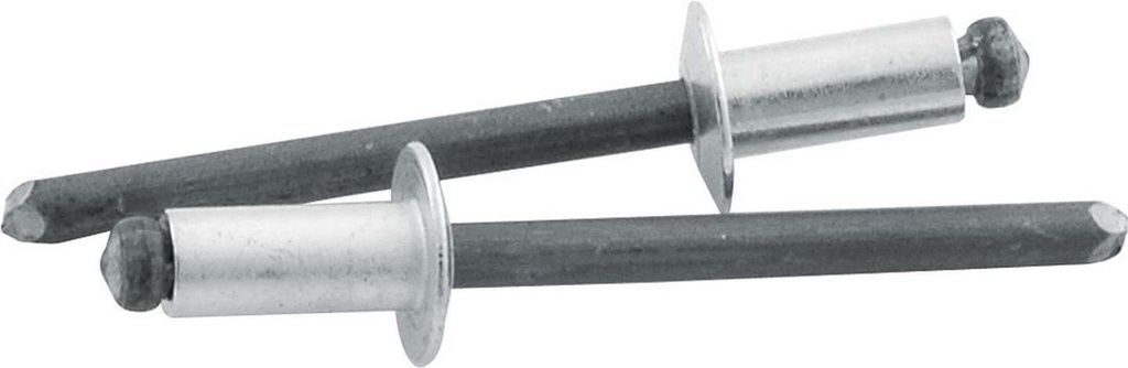 Allstar Performance - Sm Hd Rivet Silver 250pk