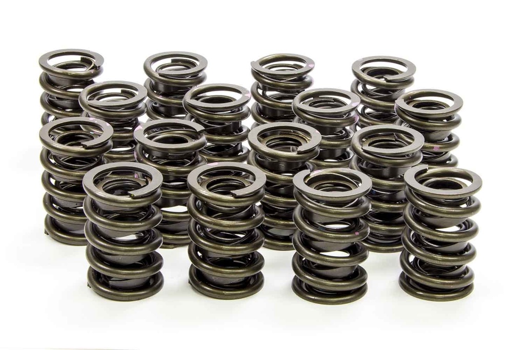 [ISK6105-SP] Isky Cams - Dual Valve Springs W/Damper - LS1