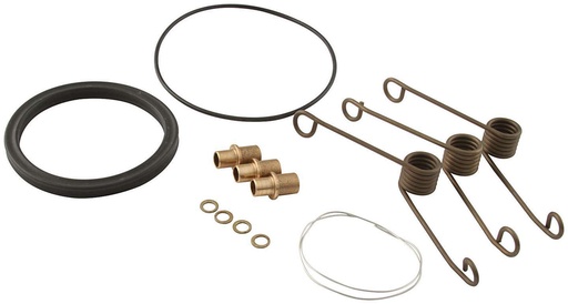 [ALL99028] Allstar Performance - Seal Kit For 40213